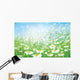 Vector Spring with White