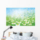 Vector Spring with White