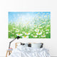 Vector Spring with White