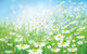 Vector Spring with White