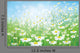 Vector Spring with White