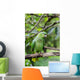 Green Parrot Wall Mural