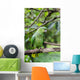 Green Parrot Wall Mural