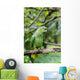 Green Parrot Wall Mural