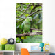 Green Parrot Wall Mural