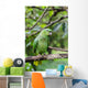 Green Parrot Wall Mural