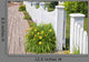 White Picket Fence