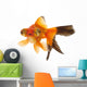 Gold Fish Wall Decal