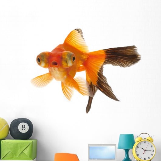 Gold Fish Wall Decal