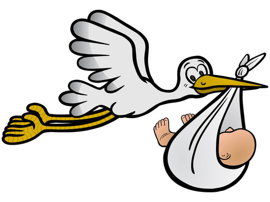 The stork brings a baby - Vector and exempted Wall Decal