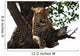 Jaguar Leopard Wall Mural