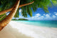 Beach Prtaslin Island Seychelles