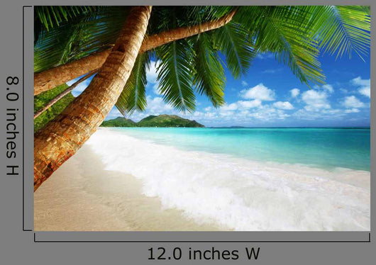 Beach Prtaslin Island Seychelles