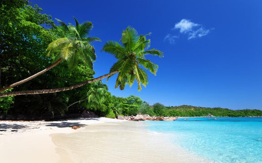 Anse Lazio Beach Praslin