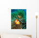 Tropical Clown Fish Wall Mural