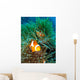 Tropical Clown Fish Wall Mural