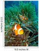 Tropical Clown Fish Wall Mural