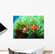 Clown Fish Wall Mural