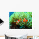 Clown Fish Wall Mural