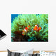 Clown Fish Wall Mural