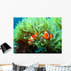 Clown Fish Wall Mural