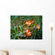 Tropical clown fish Wall Mural