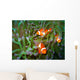 Tropical clown fish Wall Mural