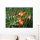 Tropical clown fish Wall Mural
