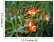 Tropical clown fish Wall Mural