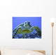 Photo of an Endangered Hawksbill Sea Turtle Wall Mural