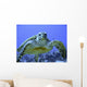 Photo of an Endangered Hawksbill Sea Turtle Wall Mural