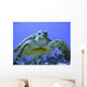 Photo of an Endangered Hawksbill Sea Turtle Wall Mural