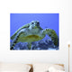 Photo of an Endangered Hawksbill Sea Turtle Wall Mural