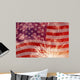 Fireworks over United States