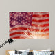 Fireworks over United States