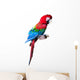 Red Macaw W/ Clipping Path Wall Decal
