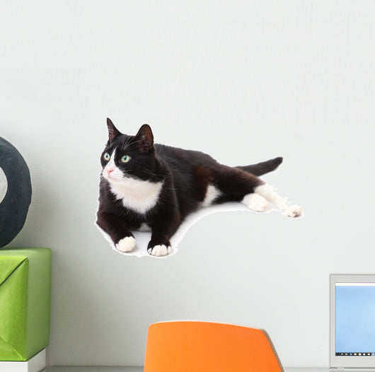 Beautiful Black and White Wall Decal