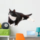 Beautiful black and white cat over white background Wall Decal