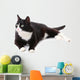 Beautiful black and white cat over white background Wall Decal