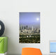 Shining Los Angeles Wall Mural