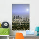 Shining Los Angeles Wall Mural