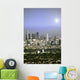 Shining Los Angeles Wall Mural