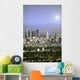 Shining Los Angeles Wall Mural