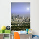 Shining Los Angeles Wall Mural