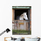 Horse in Stable Wall Mural