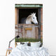 Horse in Stable Wall Mural