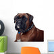 Boxer Wall Decal