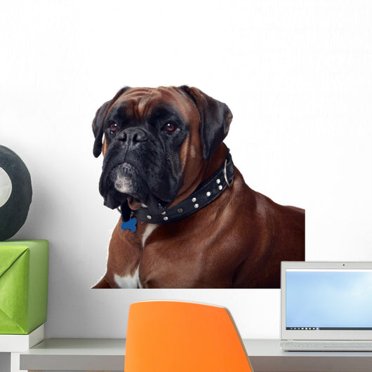 Boxer Wall Decal