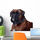 Boxer Wall Decal