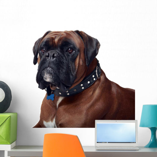 Boxer Wall Decal